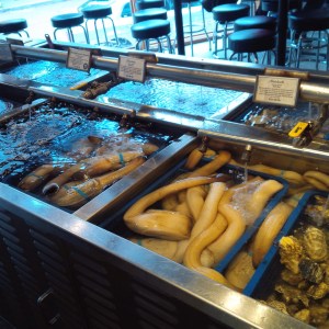 Geoduck at Taylor Shellfish, Seattle