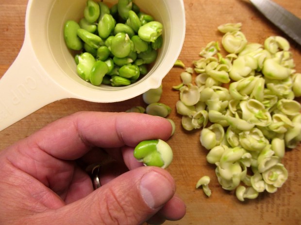 Beautiful green fava bean treasure inside!  Worth the work.
