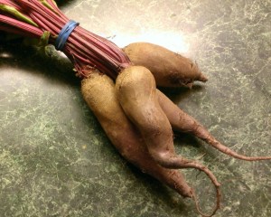 'What are these?' she said.