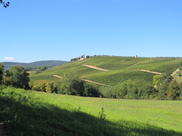 Via Francigena - San Gimignano