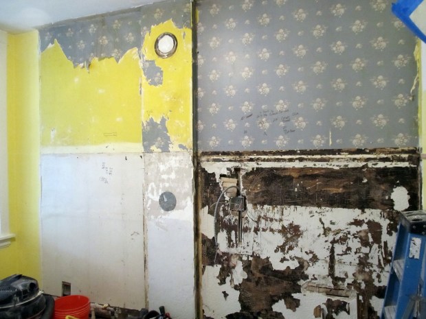 Look at that lovely wallpaper!